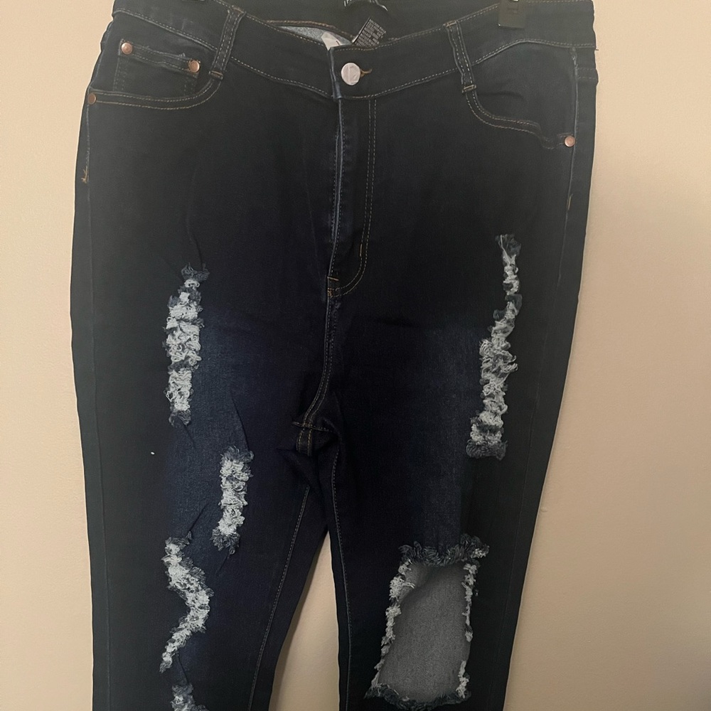 Fashion Nova Skinny Jeans Size 1X